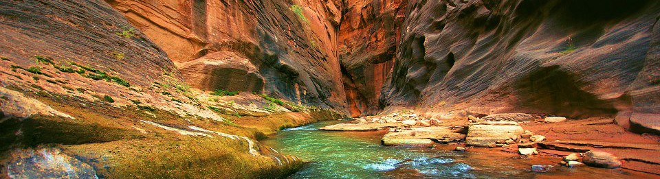 IL MONDO CHE IO VORREI